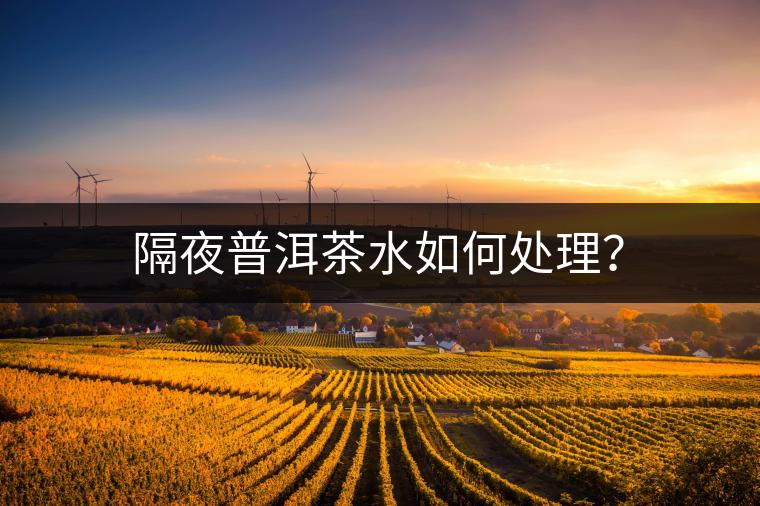 隔夜普洱茶水如何處理？