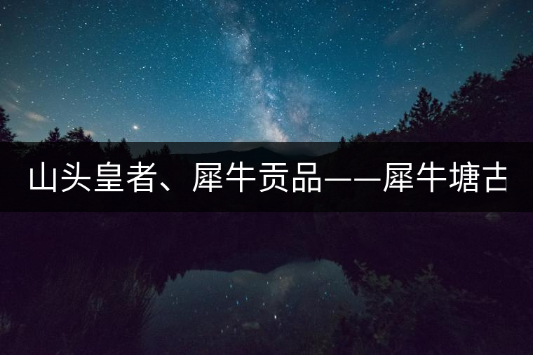 山頭皇者、犀牛貢品——犀牛塘古樹茶！