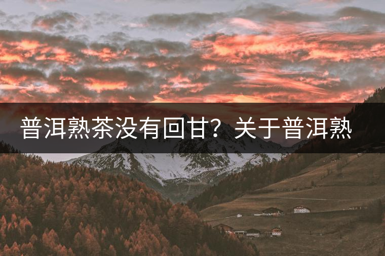 普洱熟茶沒有回甘？關(guān)于普洱熟茶的這些知識你必須知道！