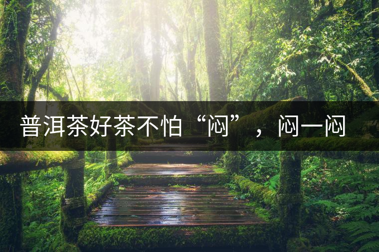 普洱茶好茶不怕“悶”，悶一悶看本味
