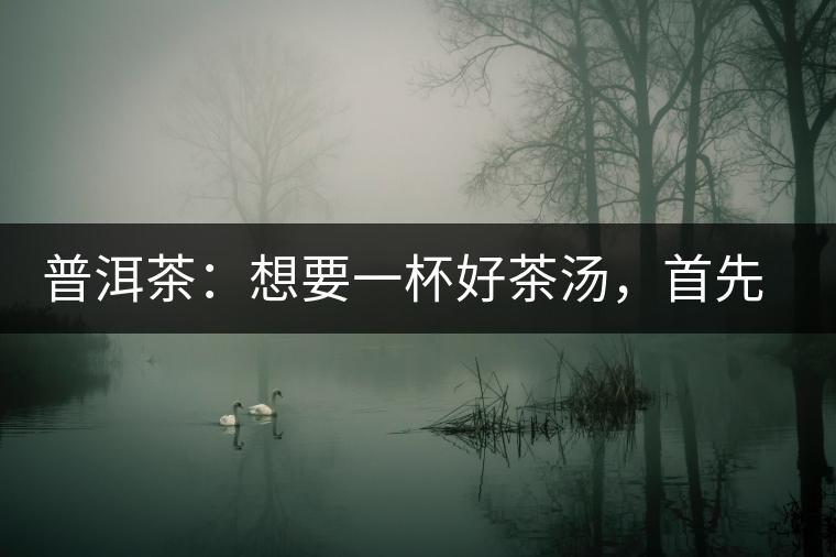 普洱茶：想要一杯好茶湯，首先要會醒茶