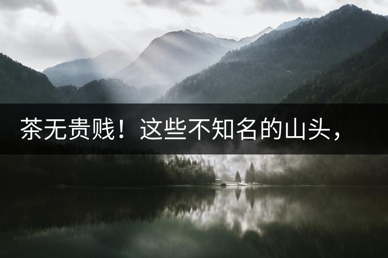 茶無貴賤！這些不知名的山頭，其實(shí)也產(chǎn)優(yōu)質(zhì)普洱茶！