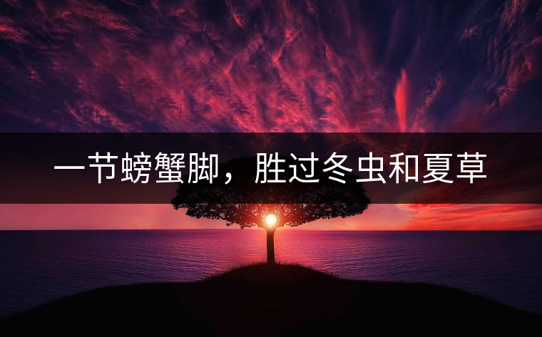 一節(jié)螃蟹腳，勝過冬蟲和夏草