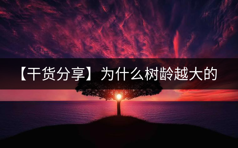 【干貨分享】為什么樹齡越大的普洱生茶，苦味越容易化掉？
