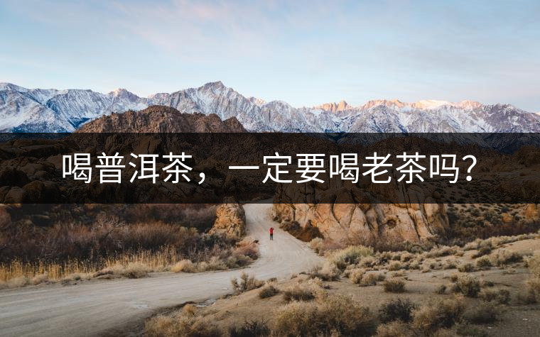 喝普洱茶，一定要喝老茶嗎？