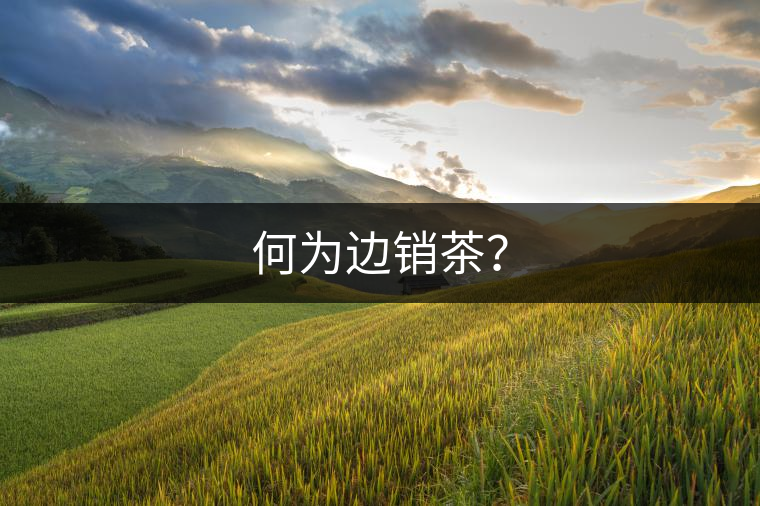 何為邊銷茶？