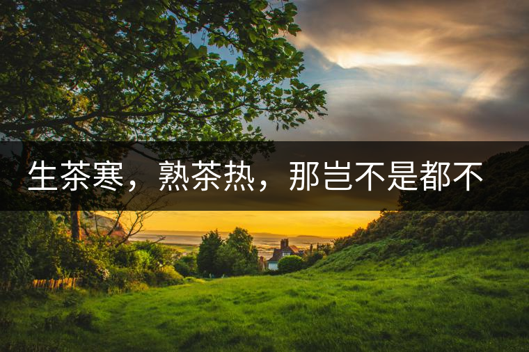 生茶寒，熟茶熱，那豈不是都不能喝了？丨實用