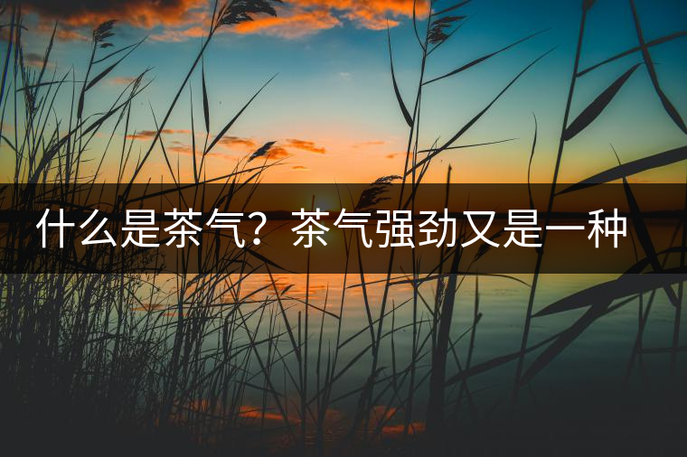 什么是茶氣？茶氣強(qiáng)勁又是一種怎樣的體驗(yàn)？