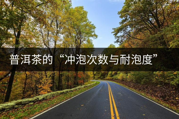 普洱茶的“沖泡次數(shù)與耐泡度”，你都了解嗎？