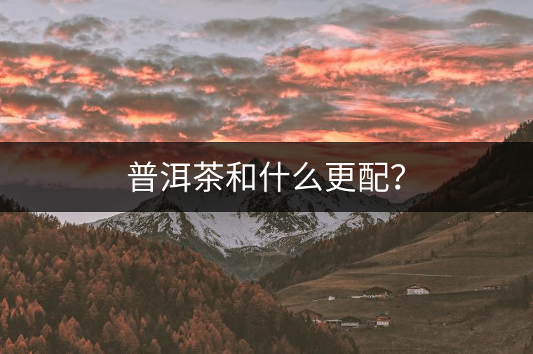 普洱茶和什么更配？