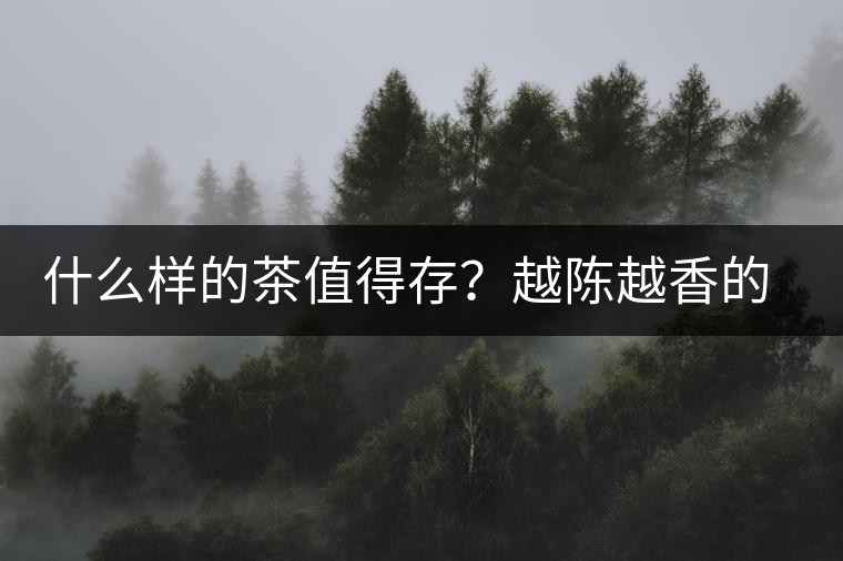 什么樣的茶值得存？越陳越香的本質(zhì)是什么？