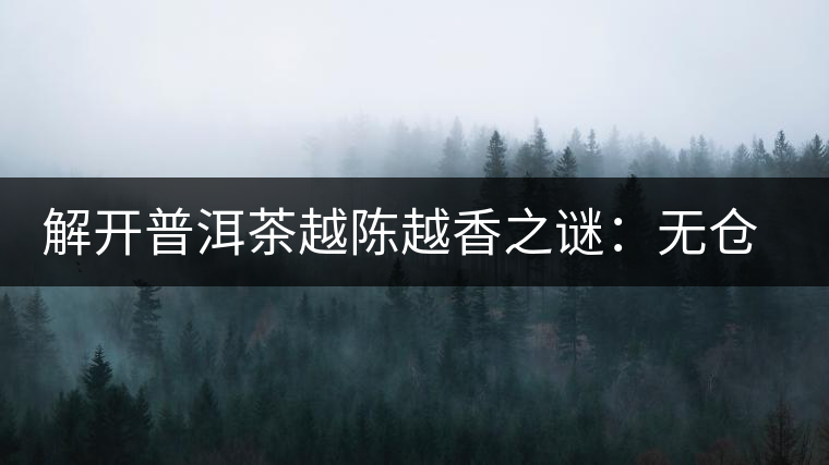 解開普洱茶越陳越香之謎:無倉不成普洱 解開普洱茶越陳越香之謎:無倉不成普洱
