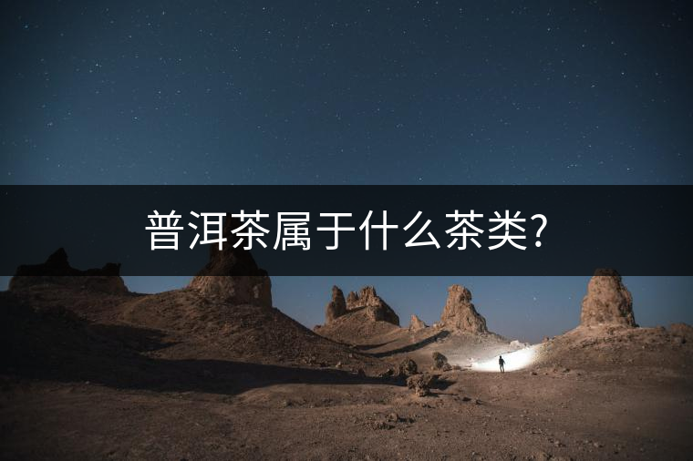 普洱茶屬于什么茶類?