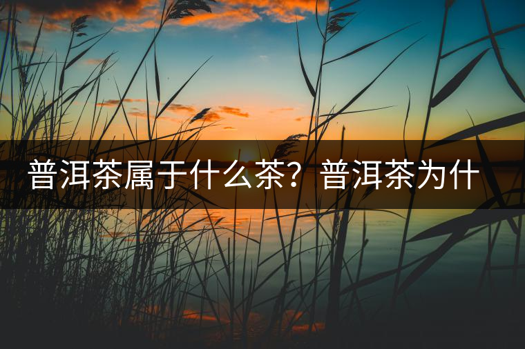 普洱茶屬于什么茶？普洱茶為什么會(huì)越陳越香？