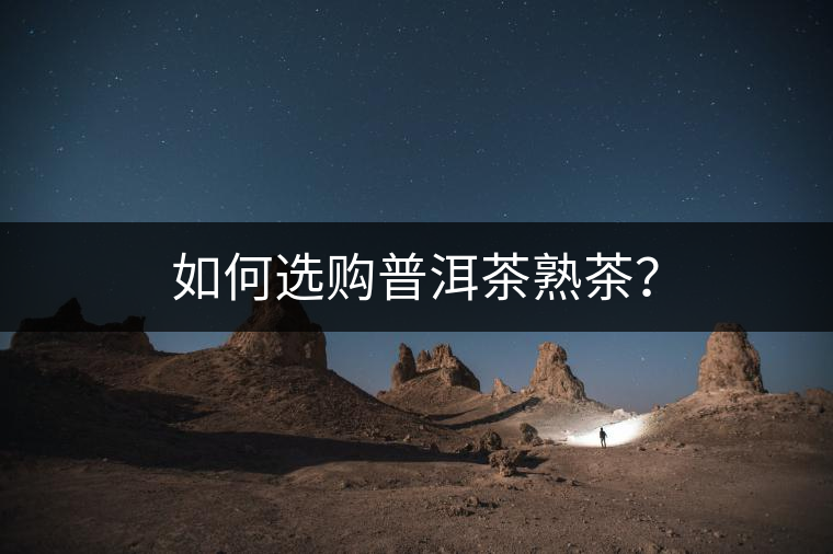 如何選購普洱茶熟茶？