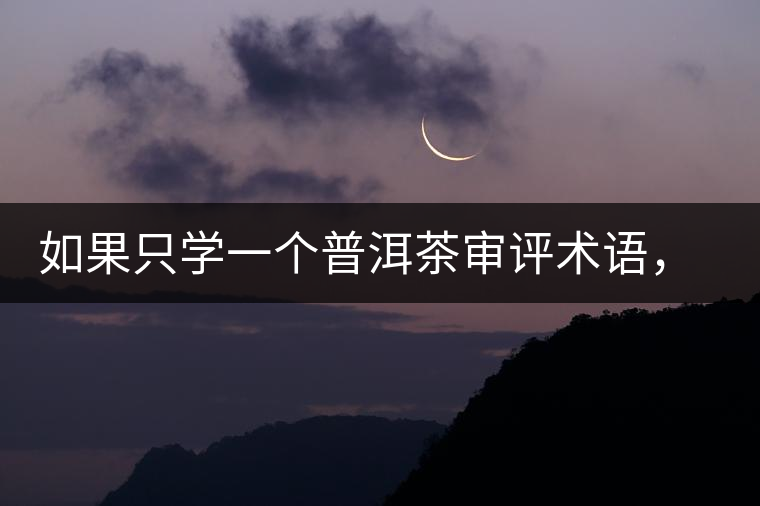 如果只學(xué)一個(gè)普洱茶審評(píng)術(shù)語，那應(yīng)該是什么？