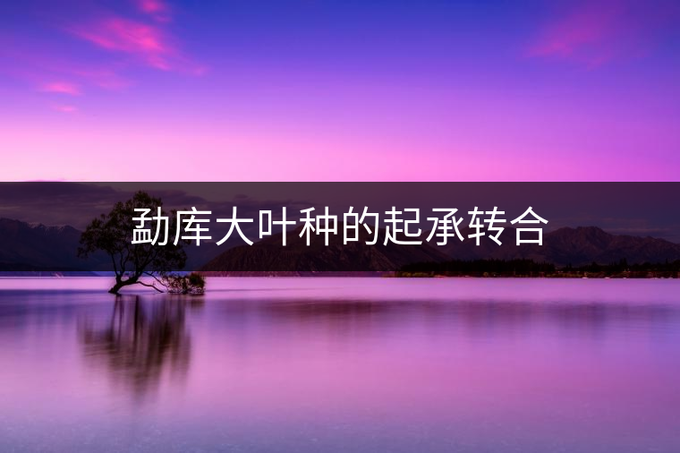 勐庫大葉種的起承轉(zhuǎn)合 勐庫大葉種的起承轉(zhuǎn)合