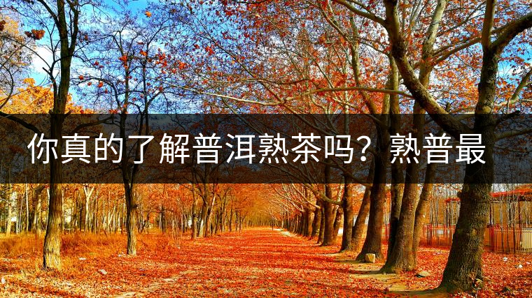 你真的了解普洱熟茶嗎？熟普最詳細(xì)的揭秘都在這里了。