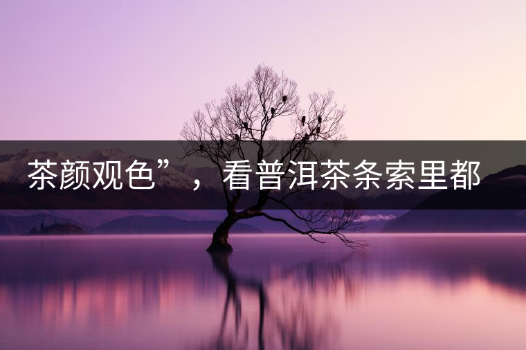 茶顏觀色”，看普洱茶條索里都蘊(yùn)含著怎樣的“密碼”？