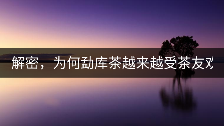 解密，為何勐庫茶越來越受茶友歡迎！