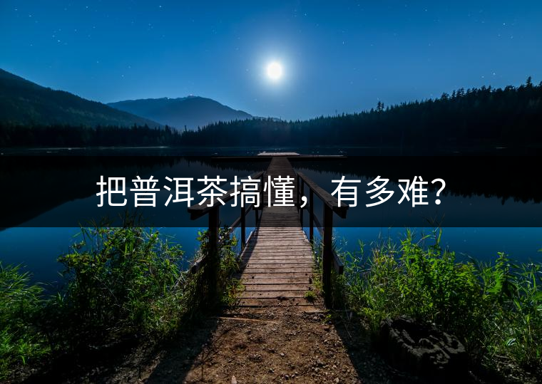 把普洱茶搞懂，有多難？