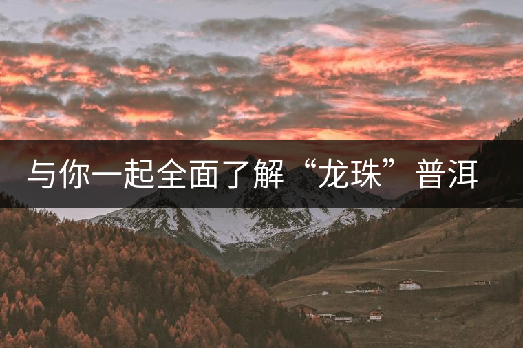 與你一起全面了解“龍珠”普洱茶 與你一起全面了解“龍珠”普洱茶