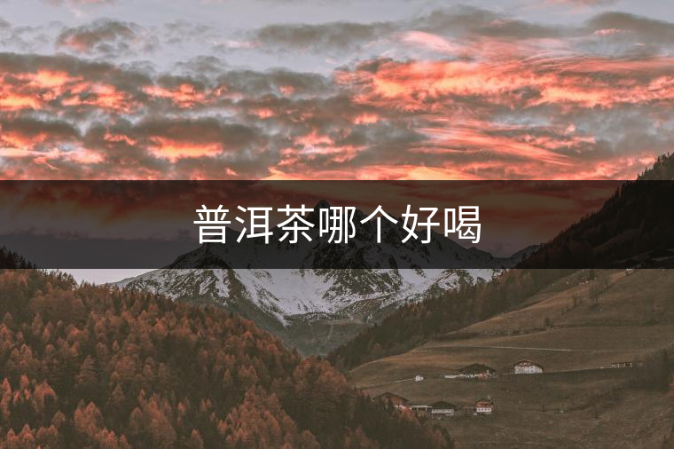普洱茶哪個好喝 普洱茶哪個好喝