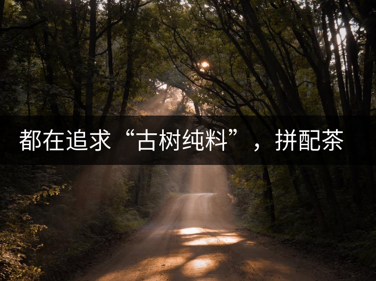 都在追求“古樹(shù)純料”，拼配茶真的不如純料的？