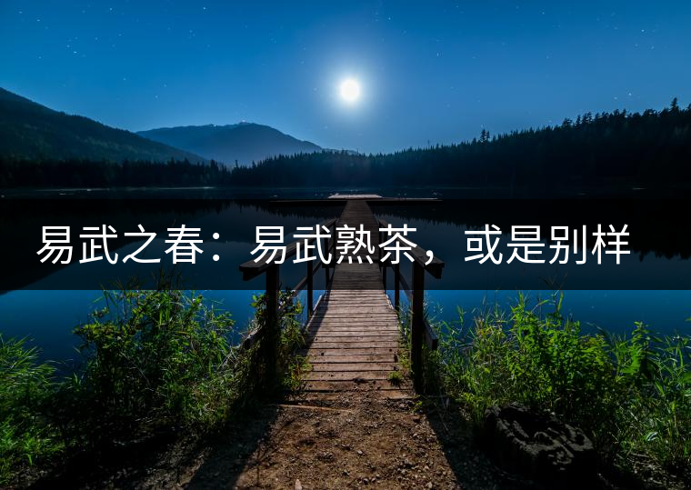 易武之春：易武熟茶，或是別樣風(fēng)采丨賞鑒