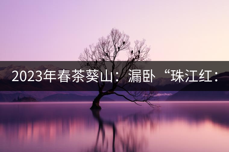 2023年春茶葵山：漏臥“珠江紅：1200元-3200元（有3個檔次）漏臥“大廠茶”：古樹單株8600-9000元／公斤，中樹4800-5200元／公斤，小樹混采2600-2800元／公斤。