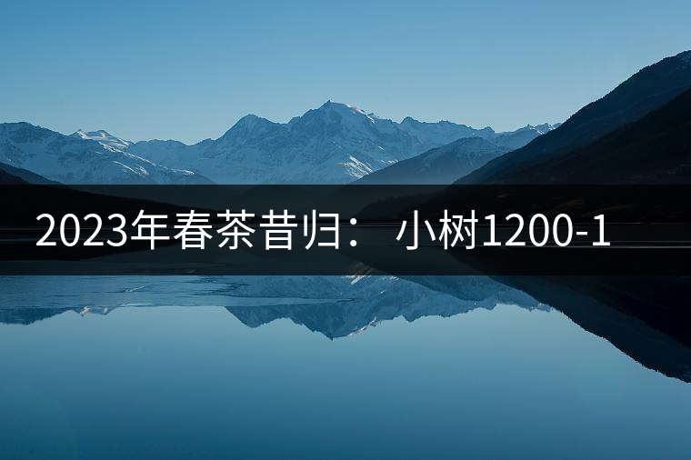 2023年春茶昔歸： 小樹1200-1600元／公斤，大樹4500-5200元／公斤，古樹7500-9000元／公斤.