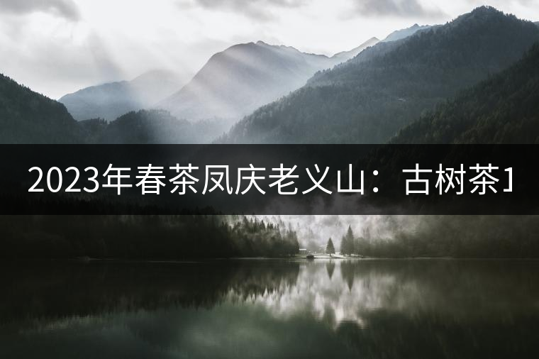 2023年春茶鳳慶老義山:古樹(shù)茶1600-2000元/公斤 2023年春茶鳳慶老義山:古樹(shù)茶1600-2000元/公斤