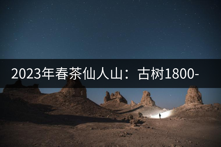 2023年春茶仙人山：古樹(shù)1800-2500元／公斤，老曼峨：小樹(shù)：600元／公斤 1600-1800元／公斤