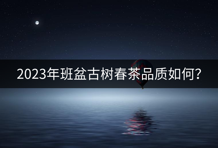 2023年班盆古樹(shù)春茶品質(zhì)如何？