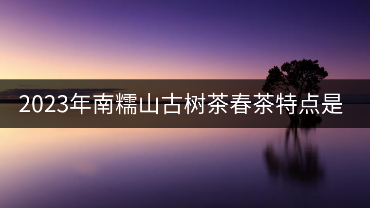 2023年南糯山古樹茶春茶特點是什么？