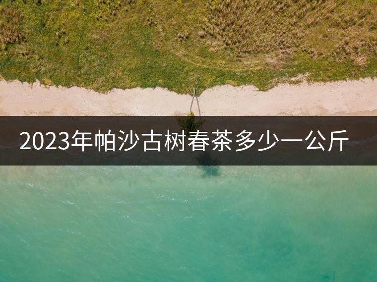 2023年帕沙古樹春茶多少一公斤？