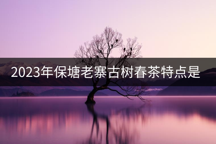 2023年保塘老寨古樹春茶特點(diǎn)是什么？