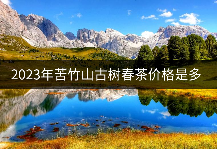 2023年苦竹山古樹春茶價格是多少？