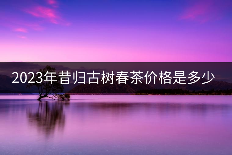 2023年昔歸古樹(shù)春茶價(jià)格是多少？