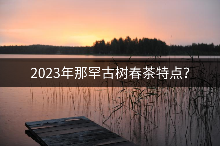 2023年那罕古樹春茶特點(diǎn)？