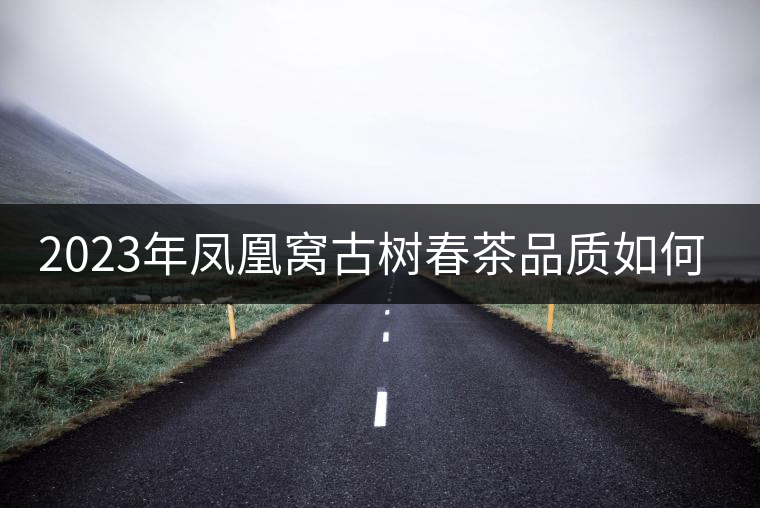 2023年鳳凰窩古樹春茶品質(zhì)如何？