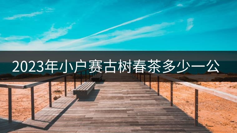2023年小戶賽古樹春茶多少一公斤？