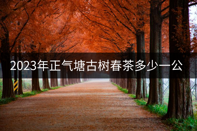 2023年正氣塘古樹春茶多少一公斤？