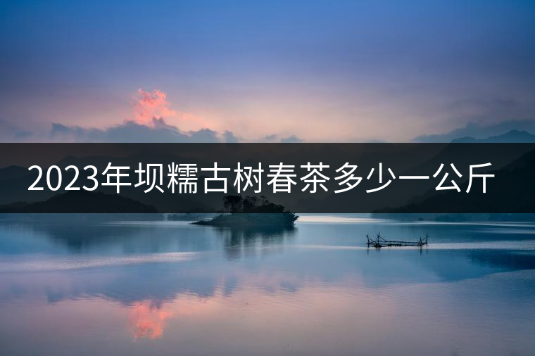 2023年壩糯古樹(shù)春茶多少一公斤？