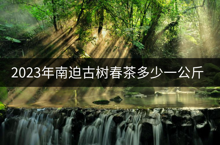 2023年南迫古樹春茶多少一公斤? 2023年南迫古樹春茶多少一公斤?