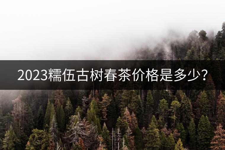 2023糯伍古樹春茶價格是多少？