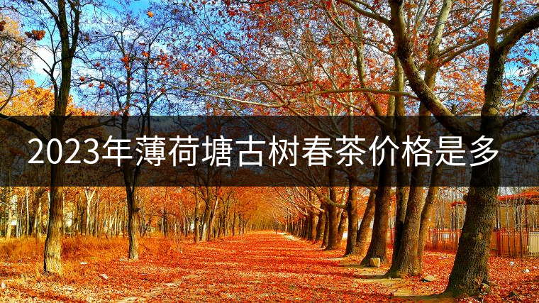 2023年薄荷塘古樹春茶價(jià)格是多少？