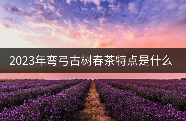 2023年彎弓古樹春茶特點(diǎn)是什么? 2023年彎弓古樹春茶特點(diǎn)是什么?