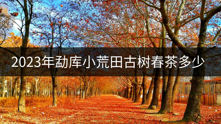 2023年勐庫小荒田古樹春茶多少一公斤? 2023年勐庫小荒田古樹春茶多少一公斤?