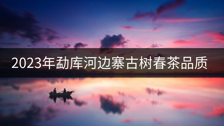 2023年勐庫河邊寨古樹春茶品質(zhì)如何？